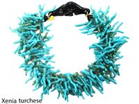 Collar Cianfrone Gioielli Mujer in Aleación de Metal CO75034 - CO75034